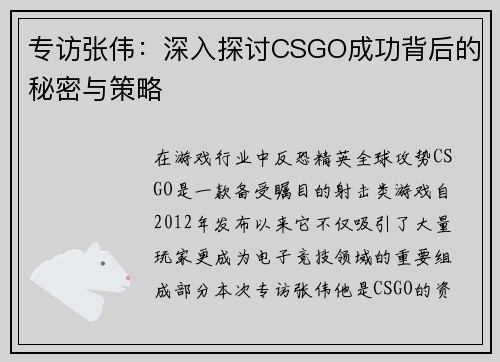 专访张伟：深入探讨CSGO成功背后的秘密与策略